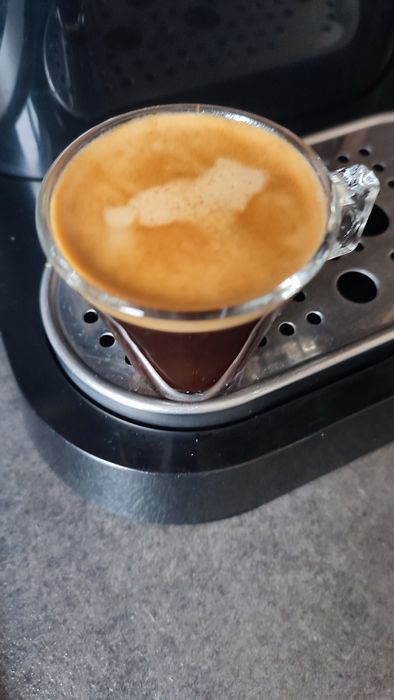 290лв. Кафемашина Gaggia Baby New Baby06 1300w месингова глава и ръкох