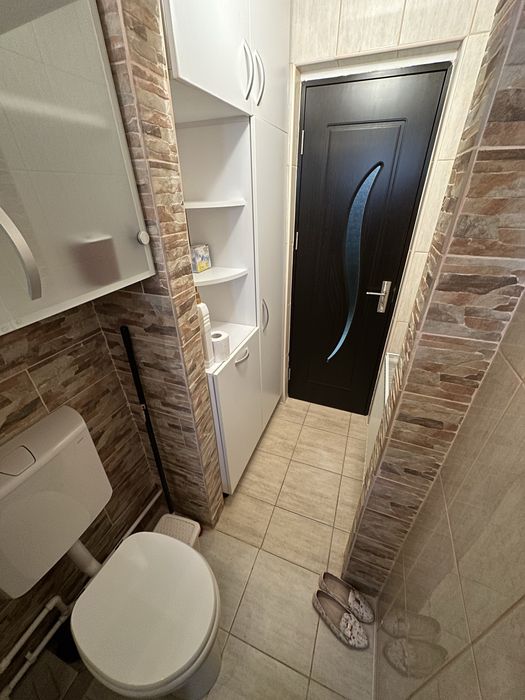 Inchiriez ap. 1 camera 37 mp parter Viziru 1