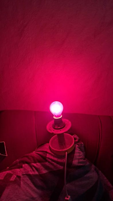 Ретро цветни крушки