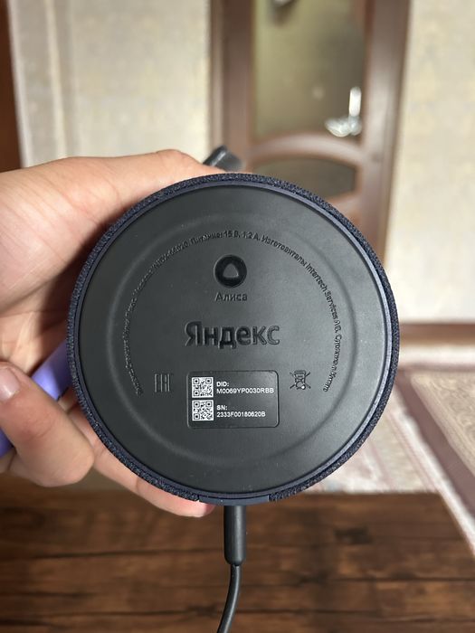 Продаю Алиса качественный