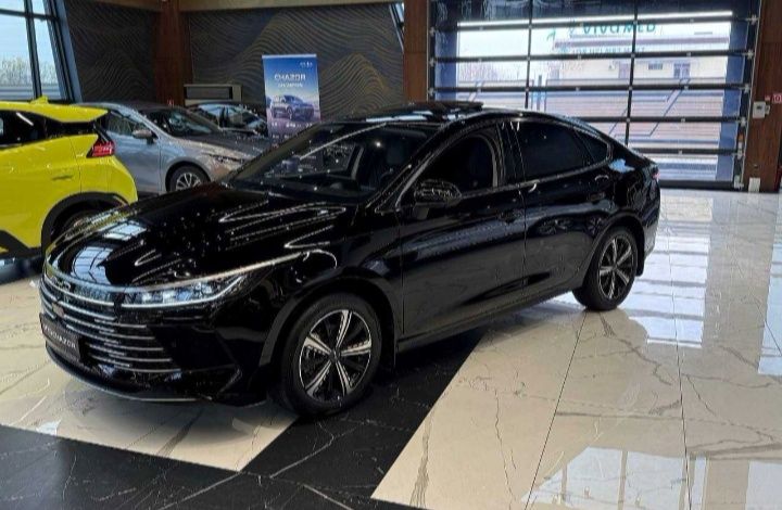 ARENDA BYD chazor 120 full