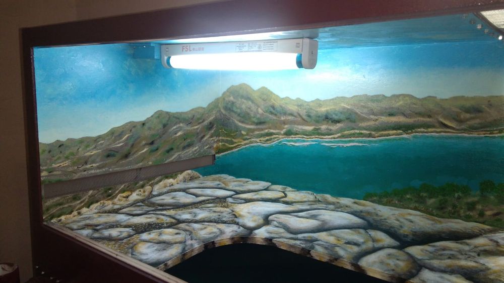 Террариум с пейзажем