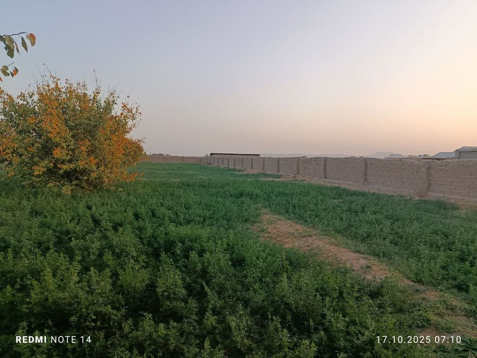 Yer sotiladi 12 sotix