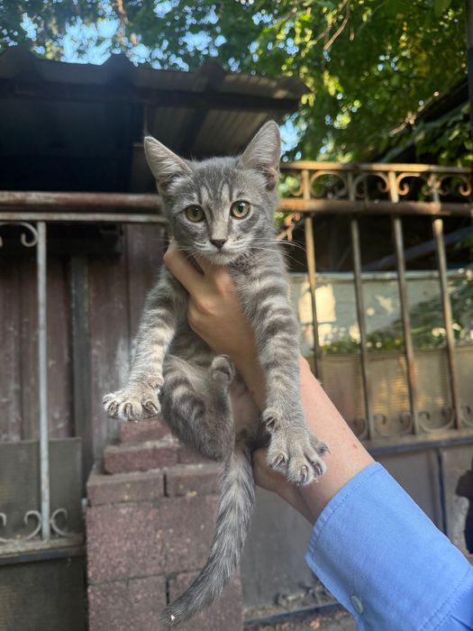 Малышка ищет любящий дом