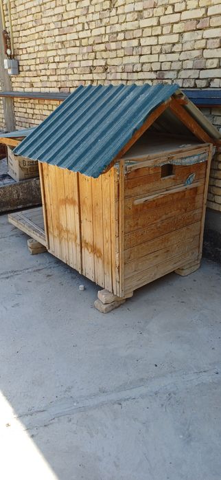 Домик итлар учун.  Келишилган холда