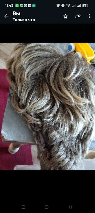 Парик продам бу 2000