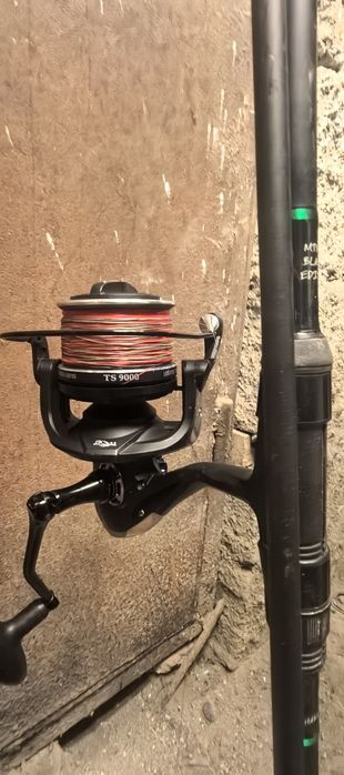 Bete crap + mulinete