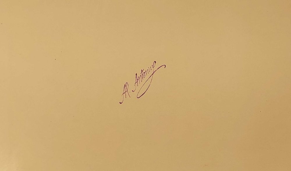 Albumul General al României, editor Alex. Antoniu, 1904 - partea a II