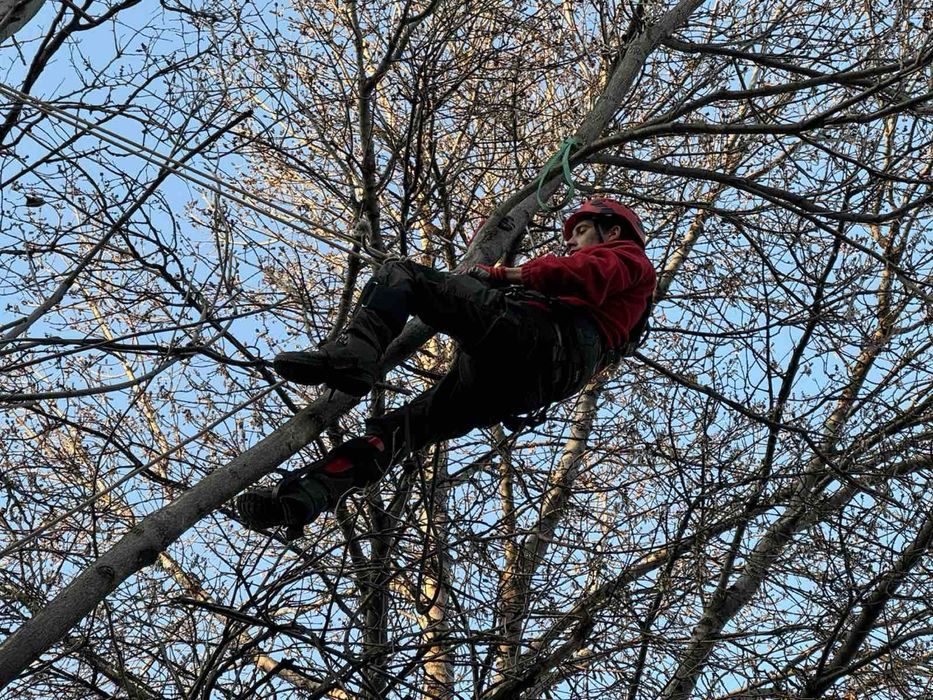 Рязане на опасни дървета 24/7 (арбористи)