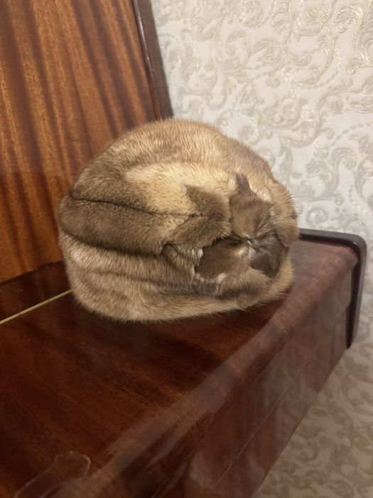 продается норковая шапка