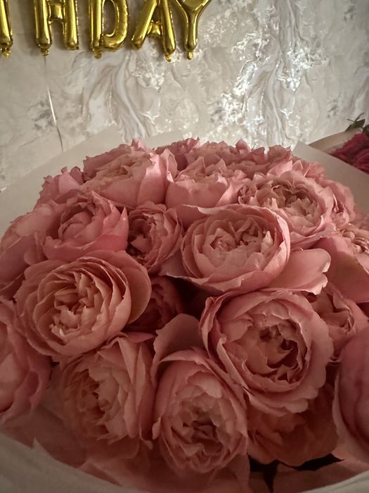 пионовидные розы джульетта