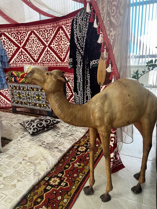 Жарты ағаш үй жалға беріледі.