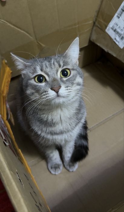 Вязка! Ищим принца