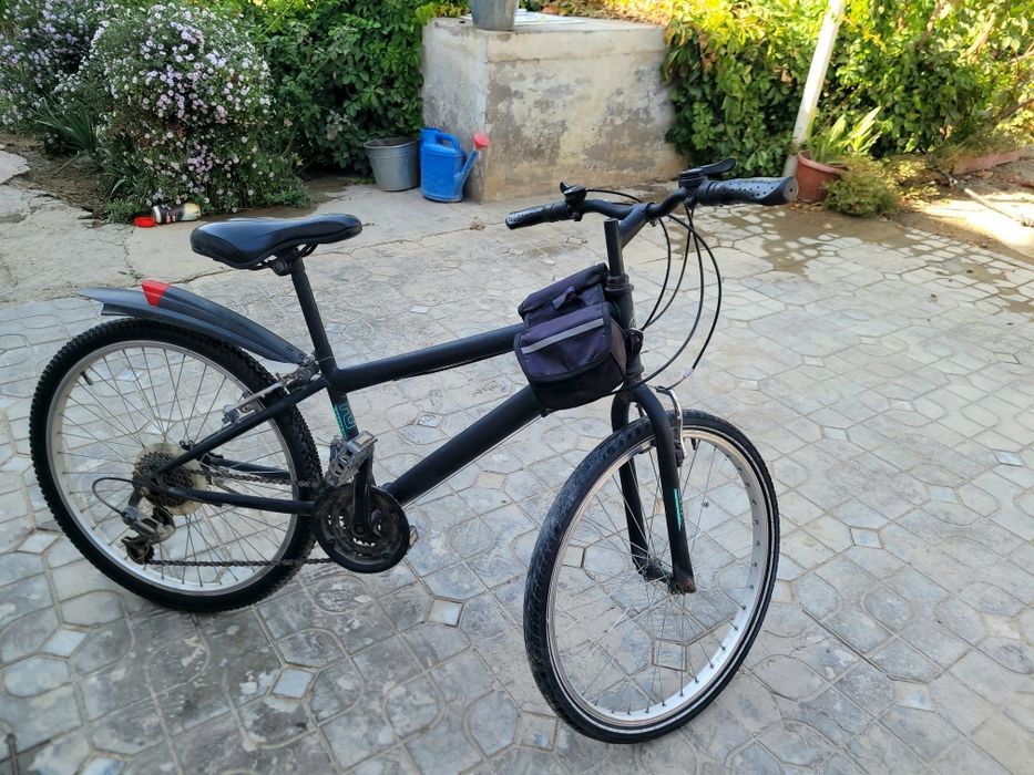 Velosepid germaniske xolati edial