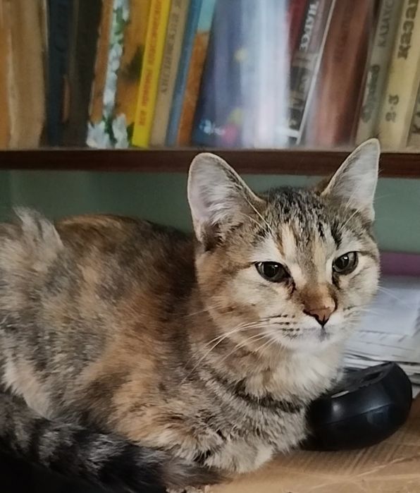 Девочку 9 месяцев отдаю с лотком