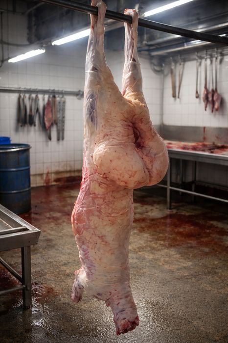 Қойдың еті - Баранина тушками