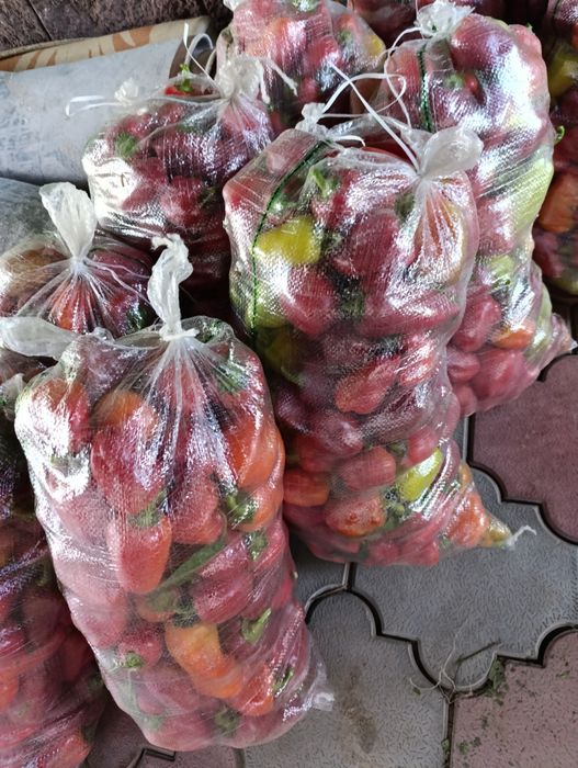 Перец болгарски сладкий 200 тг