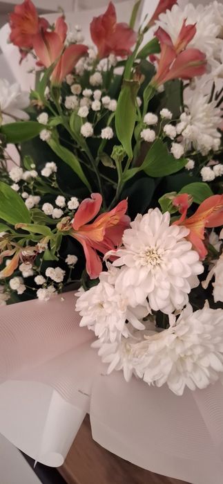 Продам цветы 2500