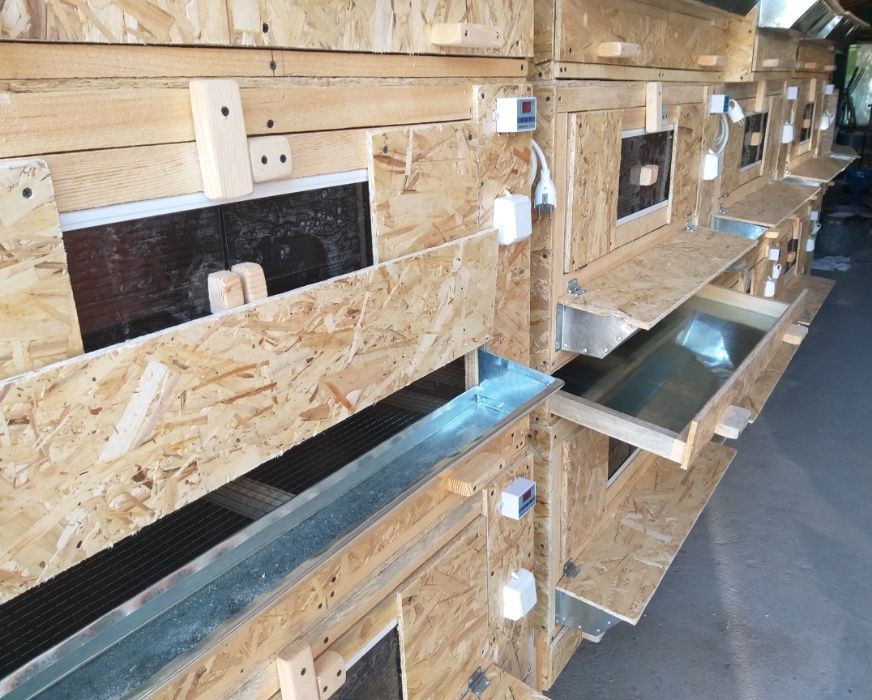 Брудер для цыплят