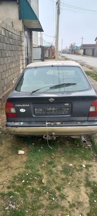 Nissan Primera стылады