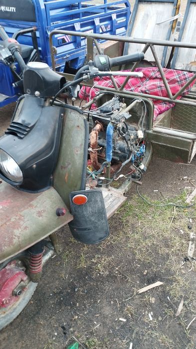 Продам 2 муравья недорого