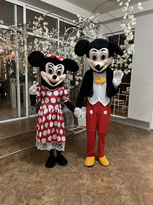 Mascote Mickey și Minnie Mouse Târgu-Jiu