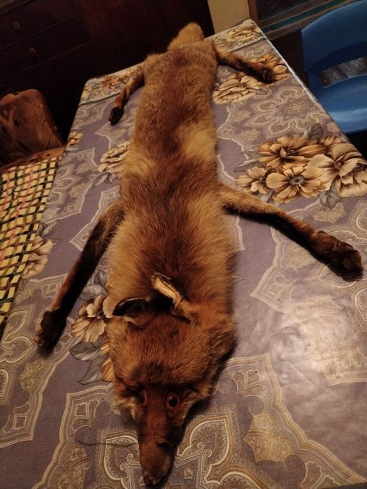 Кожена яка от лисица