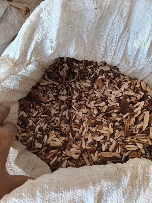 Семечканың отходы