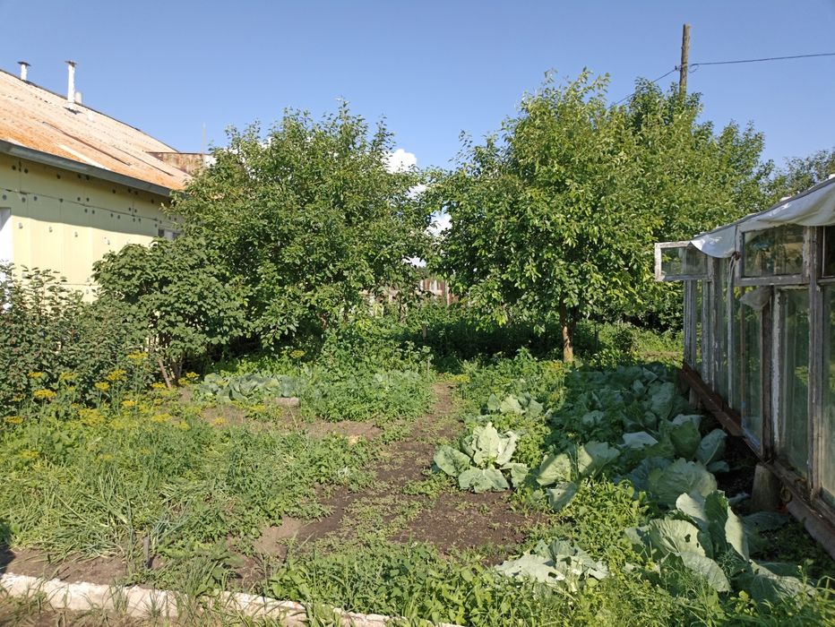Продам дом, в поселке Зеленый бор