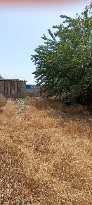 Продается земельный участок 3,24 сотки Тузель