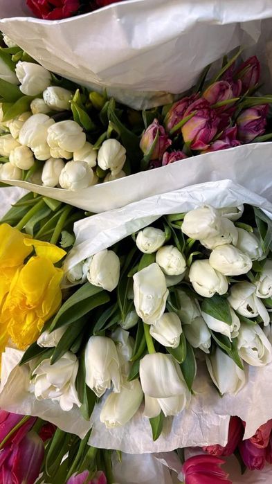 Тюльпаны Букет Алматы