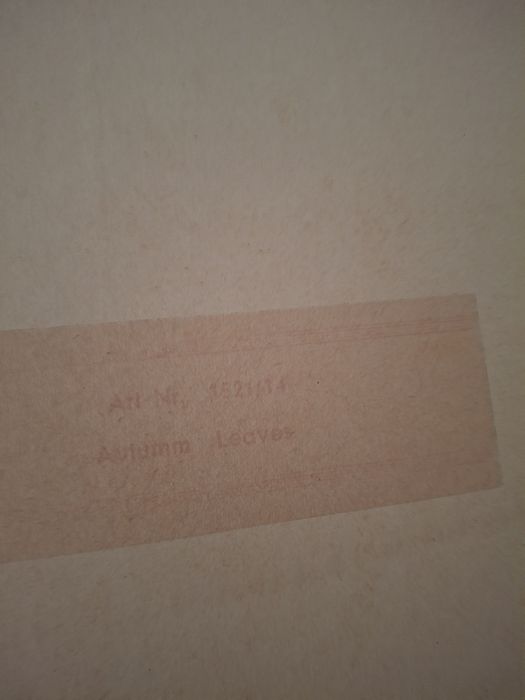 Tablou portret cu rama