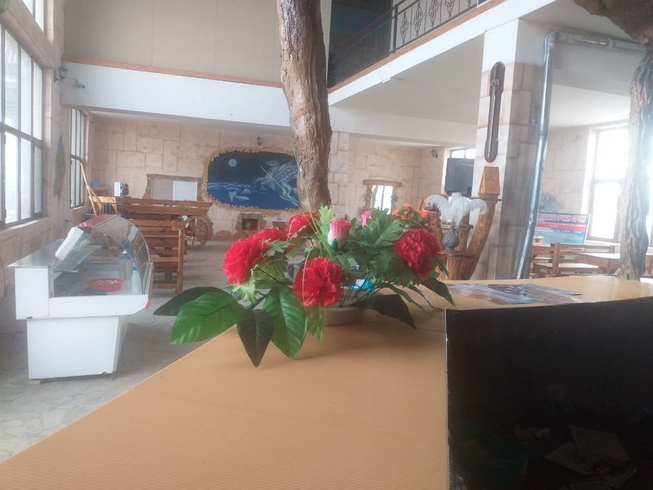 Сдаётся кафе с кухней