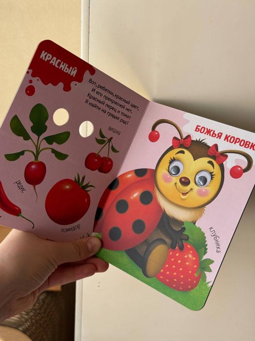 Большой выбрр картонных книжек для малышей