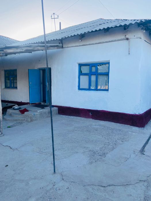 Уй сотилади.Дала ховли