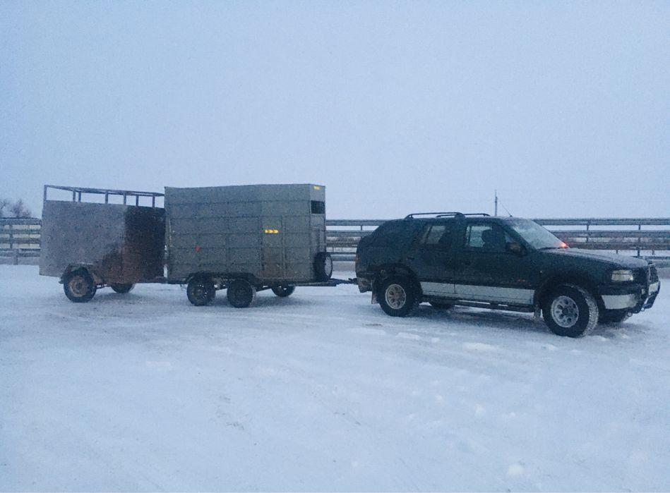 Коневозка перевозка