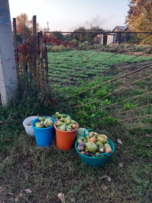 Продам    земельный участок