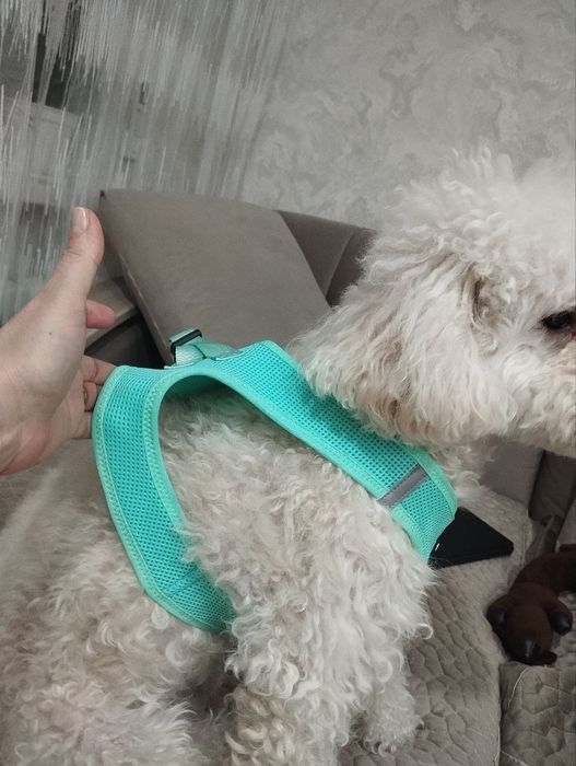 Шлейка для собаки