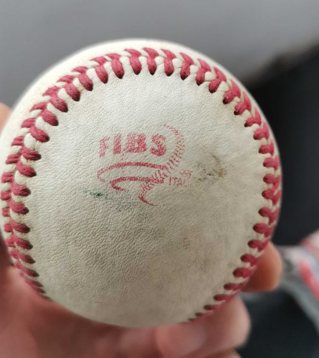 Minge Basebal Italia Club Oficial