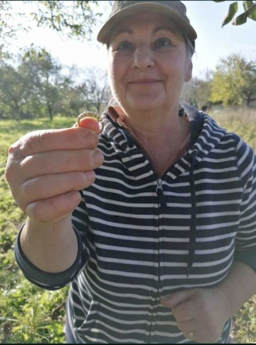 Detector de metale-Prospectare utilitara