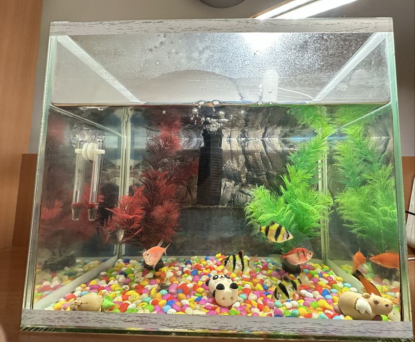 Аквариум сатылады