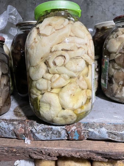 Грузди 3л соленые свои