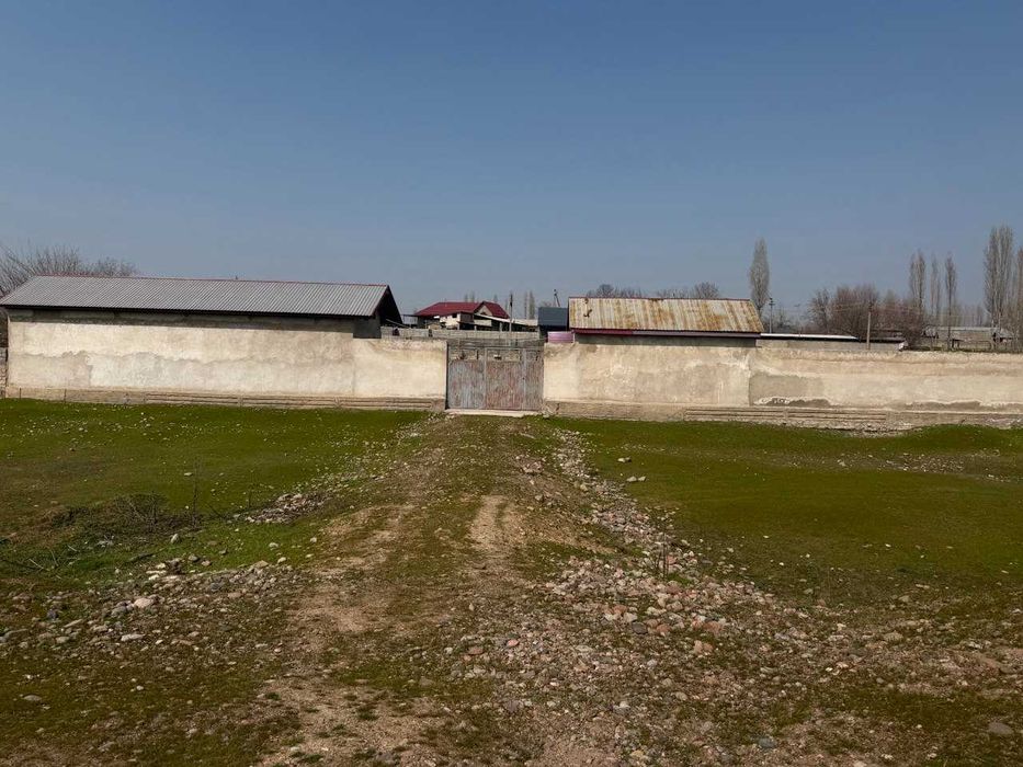 16 соток земли у воды рядом с Ташкентом — всего 13 км от круга Рохат