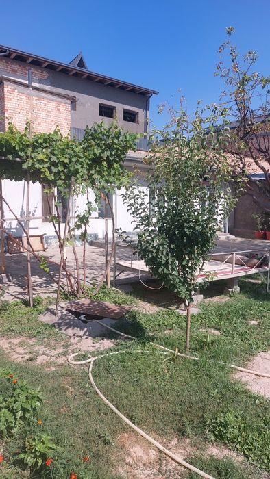 Файзли хонадон сотилади шароитлари ўрта сув газ свет вайфай бор  100 $