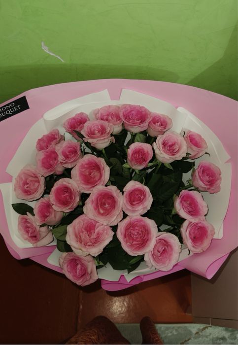 Свежый роза гулдер