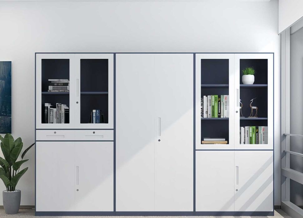 Davlat tashkilotlari uchun shkaf | Шкаф офисный