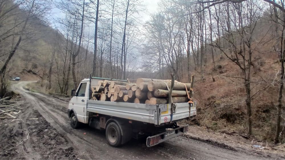 Lemn de foc STEJAR FAG !!! Cele mai bune oferte! Tot judetul !