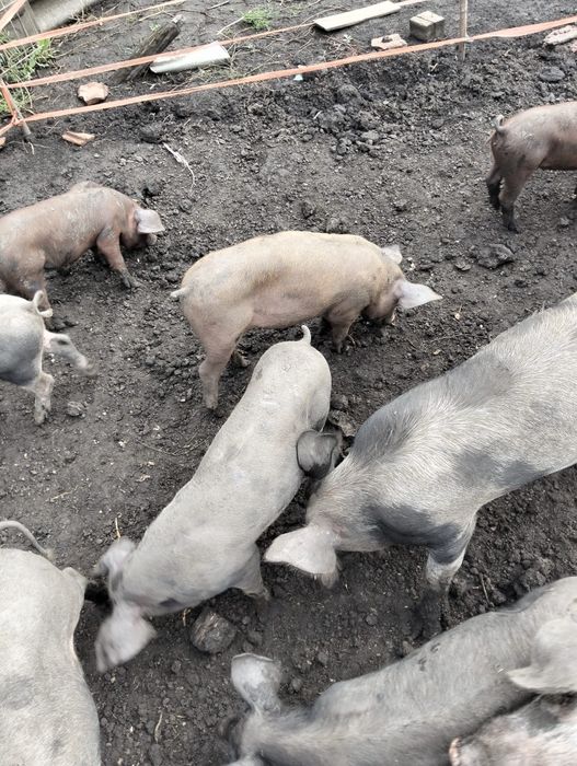 Schimb cu materiale de constructii