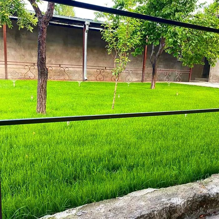 Сажаем газон и растительность