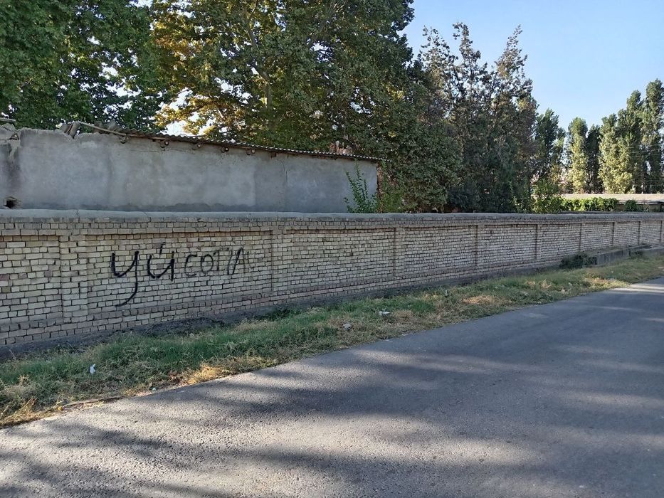 Toshekent viloyati chinoz tumani Yer uchastka dakumtlar bor